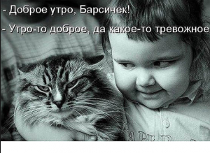 Смішні картинки для Вайбера: весела колекція