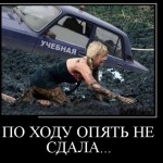 Картинки для Вайбера: завантажити безкоштовно можна у нас!