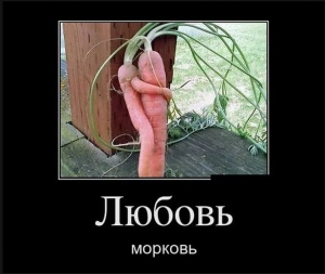 Смішні картинки для Вайбера: весела колекція
