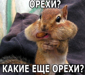 Скачати безкоштовно прикольні картинки для Вайбера   заходь!