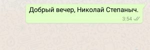 Що означають галочки в WhatsApp поруч з моїми повідомленнями?