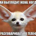 Приколи для Вайбер (Viber): скачати безкоштовно