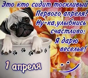 Завантажити привітання, листівки з 1 квітня для Вайбер безкоштовно