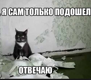 Смішні картинки для Вайбера: весела колекція