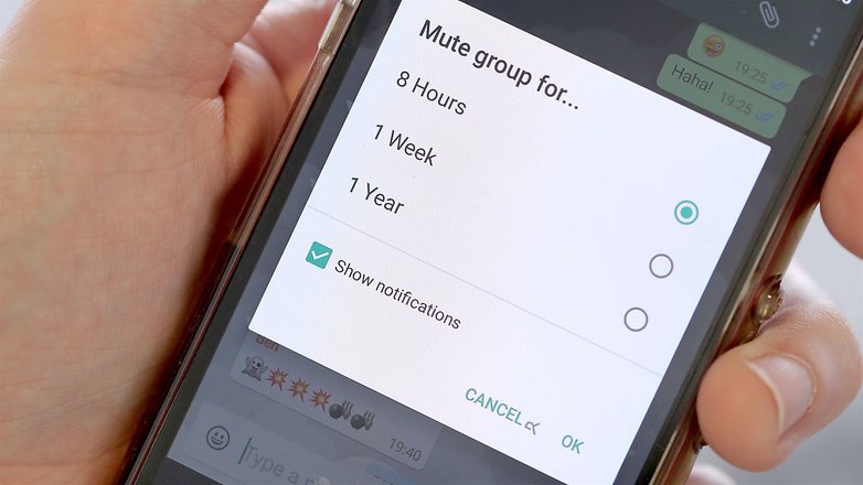 Поради та трюки WhatsApp. Як заглушити чат і змінити розмір шрифту