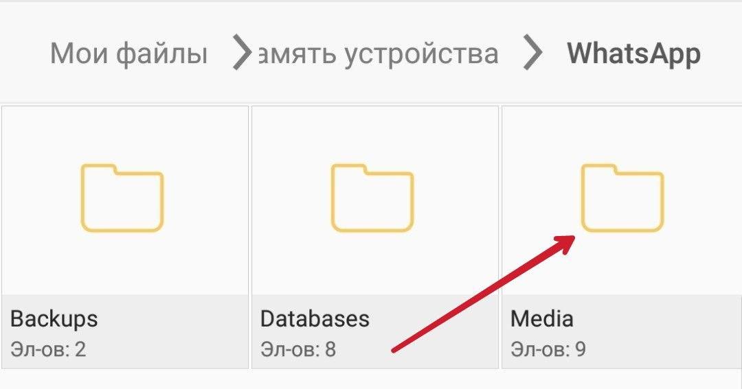 Ватсап автоматично зберігає фото на телефон: як вимкнути автоматичне збереження фотографій в галерею