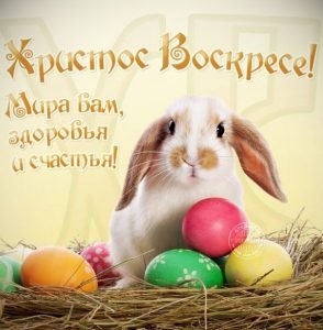 Привітання з Великоднем для Вайбер (Viber): листівки, відео