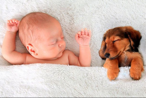 Прикольні аватарки для Вайбера для дівчат: вибирай Прикольні аватарки для Вайбера для дівчат: вибирай