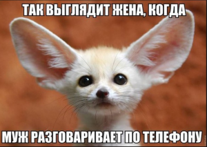 Смішні картинки для Вайбера: весела колекція