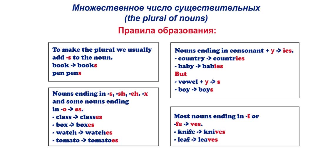 Множина іменників в англійській мові: освіта і приклади