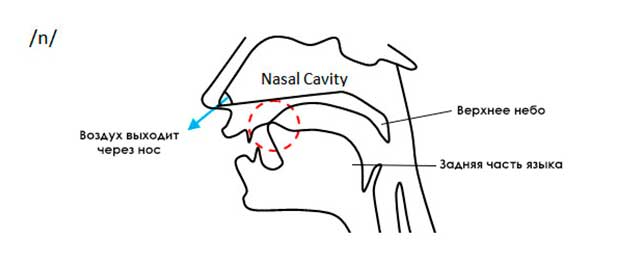 Як поліпшити вимову англійської мови? Поради, які дійсно допомагають Як поліпшити вимову англійської мови? Поради, які дійсно допомагають