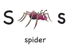 Англійський алфавіт для дітей: варіантів дуже багато, але який вибрати? Англійський алфавіт для дітей: варіантів дуже багато, але який вибрати?