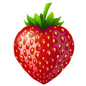 Англійська в картинках для дітей: вивчаємо лексику першорядної важливості