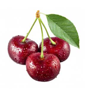 Англійська в картинках для дітей: вивчаємо лексику першорядної важливості