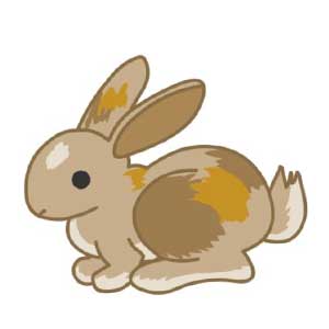 Англійська в картинках для дітей: вивчаємо лексику першорядної важливості