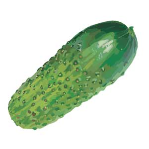 Англійська в картинках для дітей: вивчаємо лексику першорядної важливості