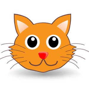 Англійська в картинках для дітей: вивчаємо лексику першорядної важливості