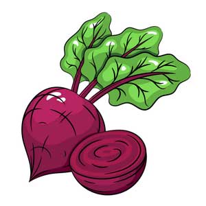 Англійська в картинках для дітей: вивчаємо лексику першорядної важливості