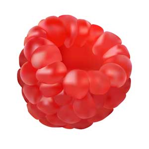 Англійська в картинках для дітей: вивчаємо лексику першорядної важливості