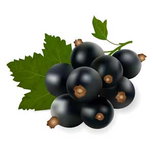 Англійська в картинках для дітей: вивчаємо лексику першорядної важливості