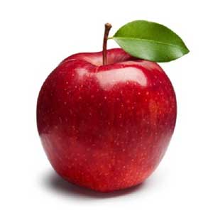 Англійська в картинках для дітей: вивчаємо лексику першорядної важливості