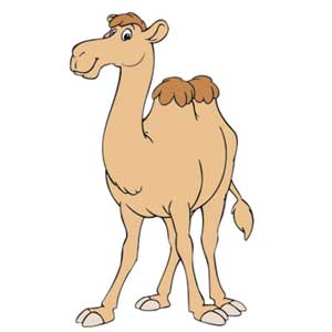 Англійська в картинках для дітей: вивчаємо лексику першорядної важливості