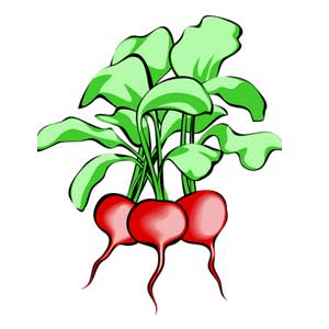 Англійська в картинках для дітей: вивчаємо лексику першорядної важливості