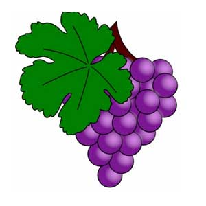 Англійська в картинках для дітей: вивчаємо лексику першорядної важливості