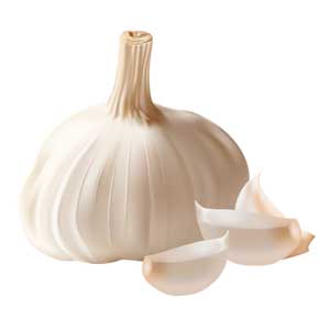 Англійська в картинках для дітей: вивчаємо лексику першорядної важливості