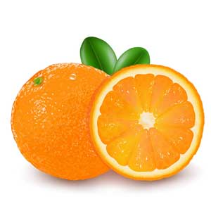 Англійська в картинках для дітей: вивчаємо лексику першорядної важливості