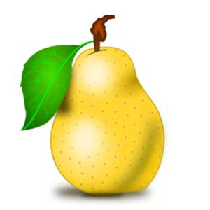 Англійська в картинках для дітей: вивчаємо лексику першорядної важливості