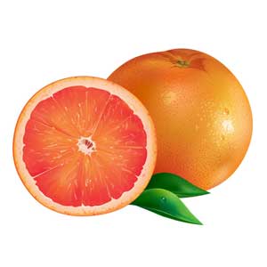 Англійська в картинках для дітей: вивчаємо лексику першорядної важливості