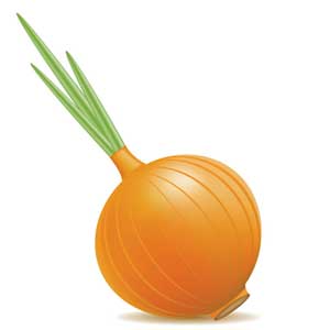 Англійська в картинках для дітей: вивчаємо лексику першорядної важливості