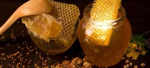 Брага з меду для самогону: класичний рецепт із застосуванням дріжджів, пропорції приготування в домашніх умовах Брага з меду для самогону: класичний рецепт із застосуванням дріжджів, пропорції приготування в домашніх умовах