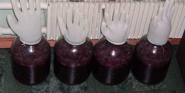 Домашнє вино з терену: простий рецепт приготування, як зробити в домашніх умовах