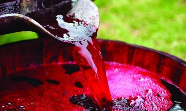 Кагор у домашніх умовах: як своїми руками зробити церковне вино за класичним рецептом і який сорт винограду використовувати