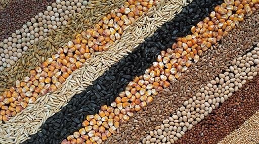 Як правильно гнати самогон в домашніх умовах: відео рецепт з сухопарником і дефлегматором Як правильно гнати самогон в домашніх умовах: відео рецепт з сухопарником і дефлегматором