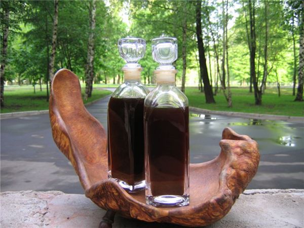 Як приготувати боброву струмінь: рецепт настоянки на горілці в домашніх умовах Як приготувати боброву струмінь: рецепт настоянки на горілці в домашніх умовах