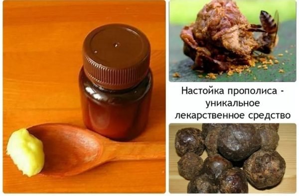 Як приготувати настоянку прополісу: робимо лікарський засіб в домашніх умовах на спирту