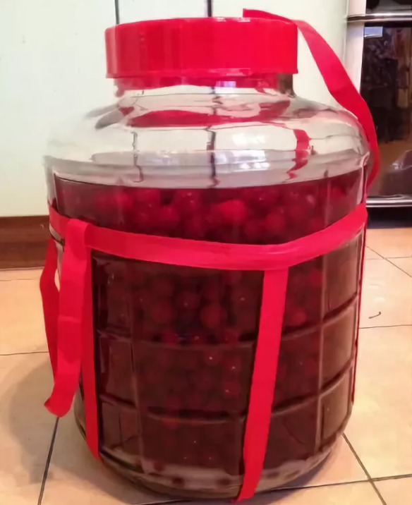 Як зробити вино з компоту: рецепти домашніх алкогольних напоїв із старих і забродивших фруктових заготівок