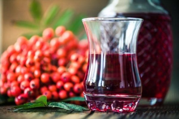 Калина на горілці: рецепт настоянки з красивою і корисною ягоди зі специфічним смаком, і як самостійно настояти напій в домашніх умовах