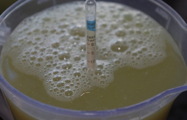 Калькулятор відбору голів і хвостів: розрахунок, скільки відбирати фракцій при першій і другій перегонці, як правильно їх відокремити Калькулятор відбору голів і хвостів: розрахунок, скільки відбирати фракцій при першій і другій перегонці, як правильно їх відокремити