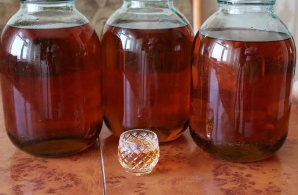 Коньяк на дубовій корі самогону: як зробити домашній елітний алкогольний напій з дистиляту, горілки і спирту, покрокові рецепти приготування