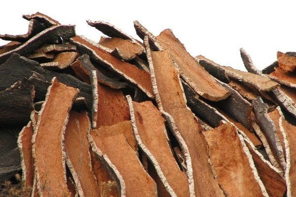 Коньяк в домашніх умовах з горілки: швидкий рецепт приготування на дубовій корі, чорносливі і спеціях