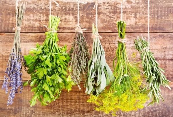 На чому настояти самогон щоб було приємно пити: рецепти приготування в домашніх умовах без запаху На чому настояти самогон щоб було приємно пити: рецепти приготування в домашніх умовах без запаху