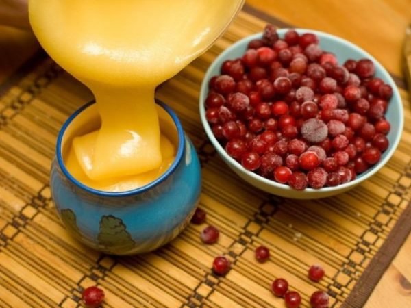 Настоянка з брусниці на самогоні: корисні властивості та найкращі рецепти приготування смачної і корисної наливки на якісному дистилляте, горілки, спирту