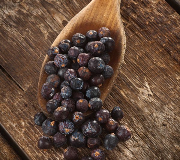 Настоянка з ялівцю на самогоні: поради щодо вибору ягід, властивості і покрокове приготування напою в домашніх умовах