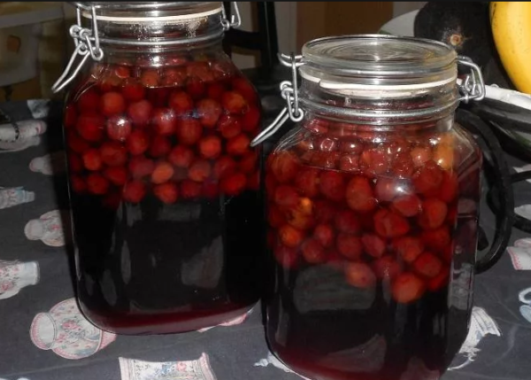 Настоянка з вишні на самогоні: найкращі рецепти приготування цілющого напою зі свіжої, сушеної або замороженої ягоди, настаиваемой на дистилляте, горілки, спирту і коньяку