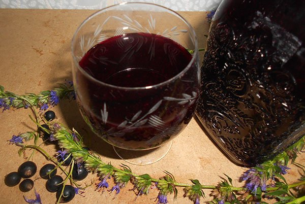 Настоянки з чорної смородини: на самогоні, горілки і спирту в домашніх умовах
