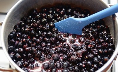 Настоянки з чорної смородини: на самогоні, горілки і спирту в домашніх умовах